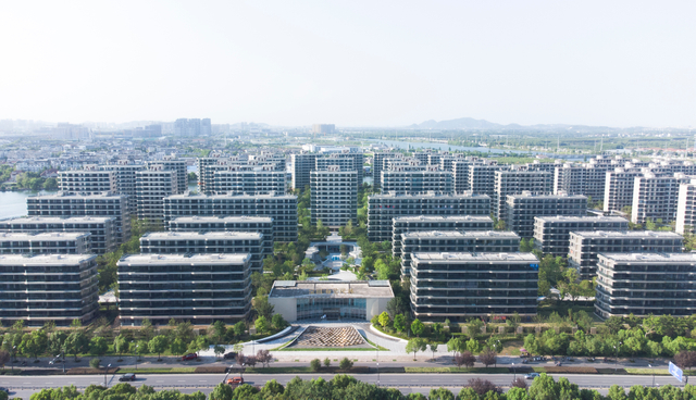 金昌白鹭凤林